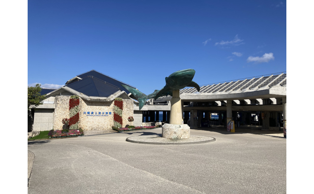 写真提供／国営沖縄記念公園（海洋博公園）・沖縄美ら海水族館