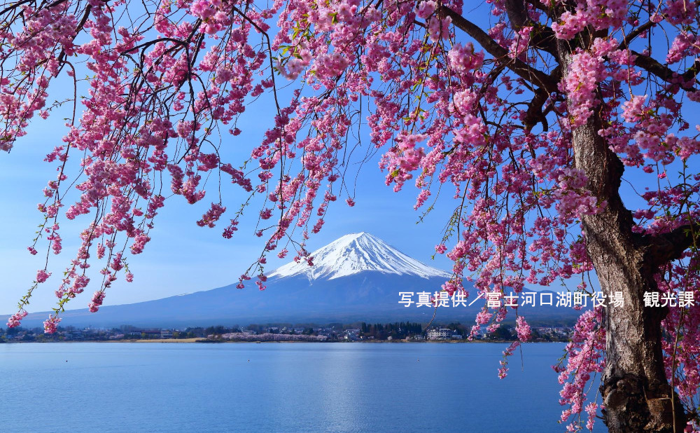 富士山のふもとで、自然と食を楽しむ旅
