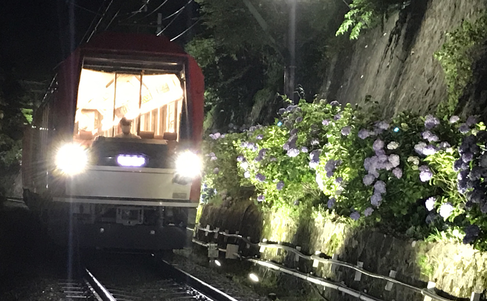 写真提供／箱根登山鉄道